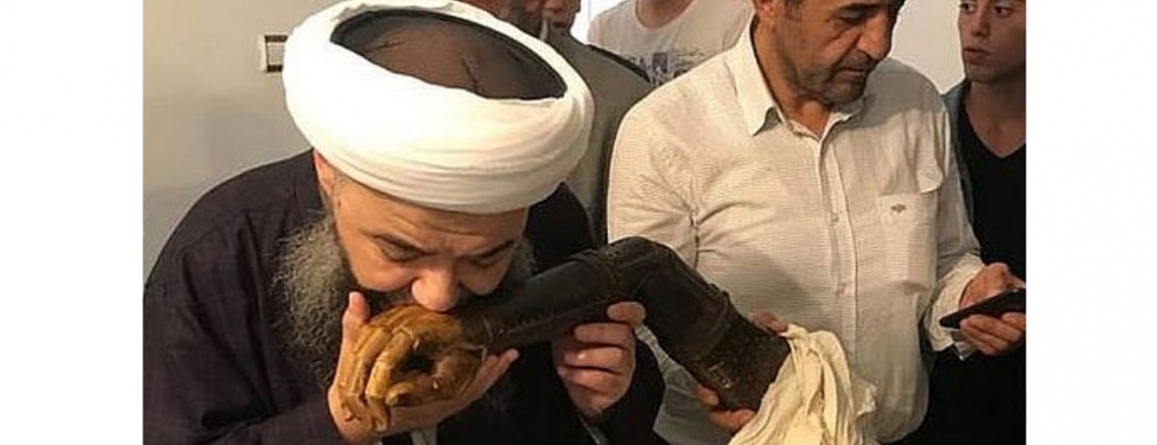 blisin cbbelisi