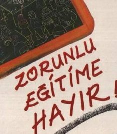 ABD'de Mslman genler evde renimi tercih ediyor
