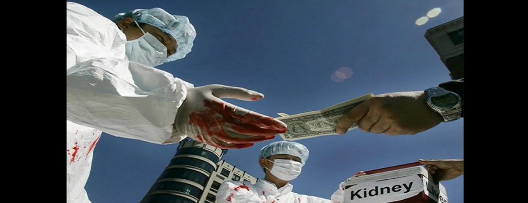 İşgalci Çin, Uygurların organlarını Körfez zenginlerine “Helal organ” diye satmış